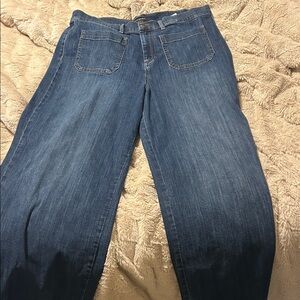 Banana Republic Factory Blue Flare Jeans